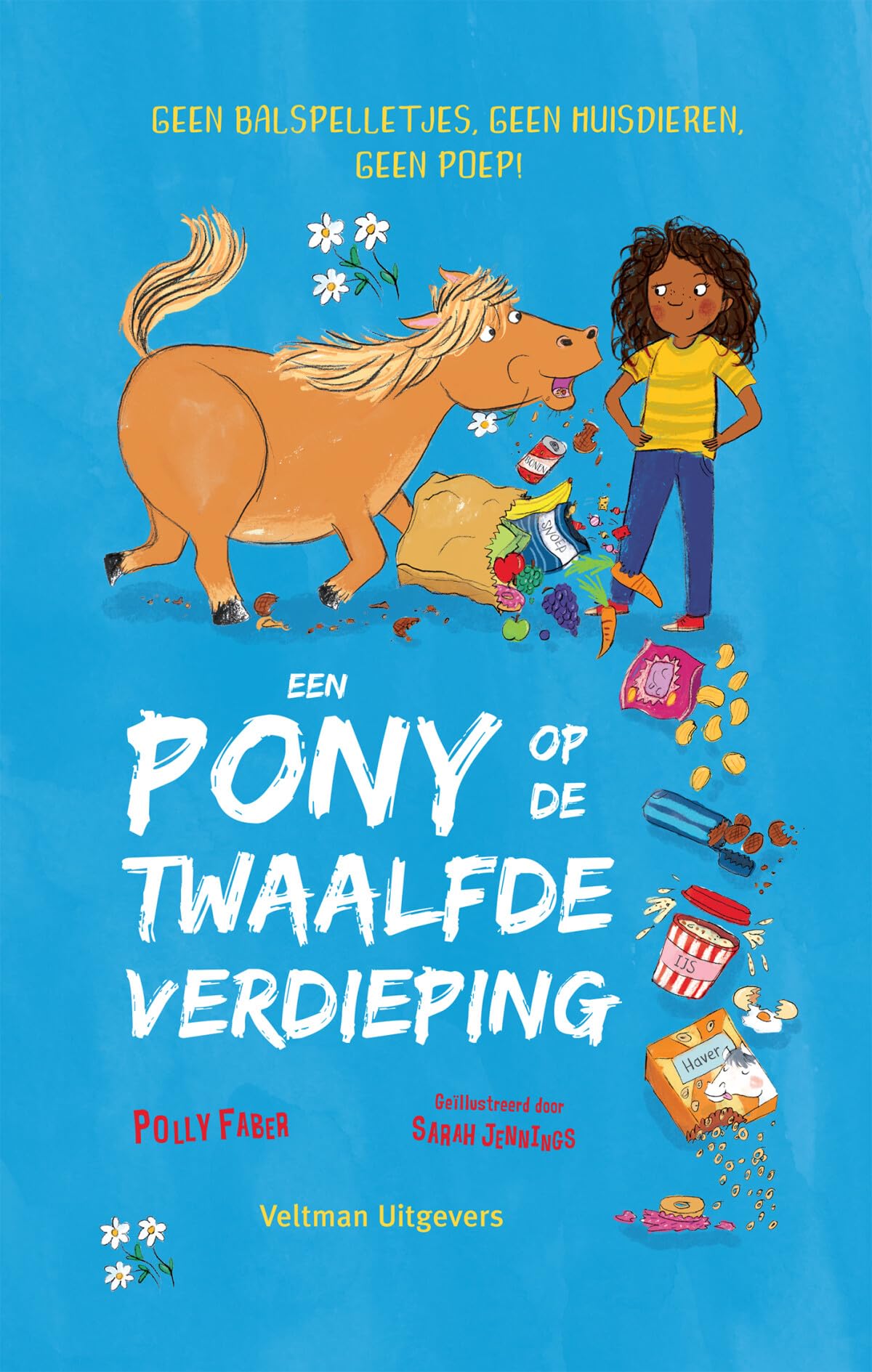 Een pony op de twaalfde verdieping book