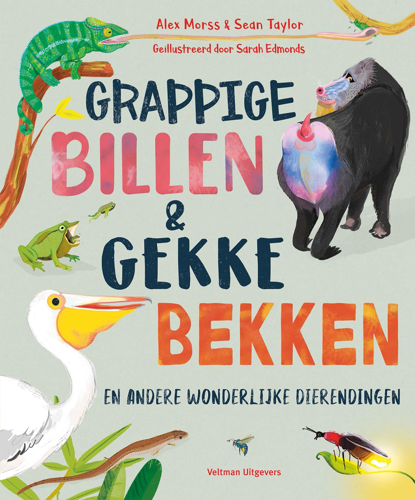 Grappige billen & gekke bekken: en andere wonderlijke dierendingen Children's books