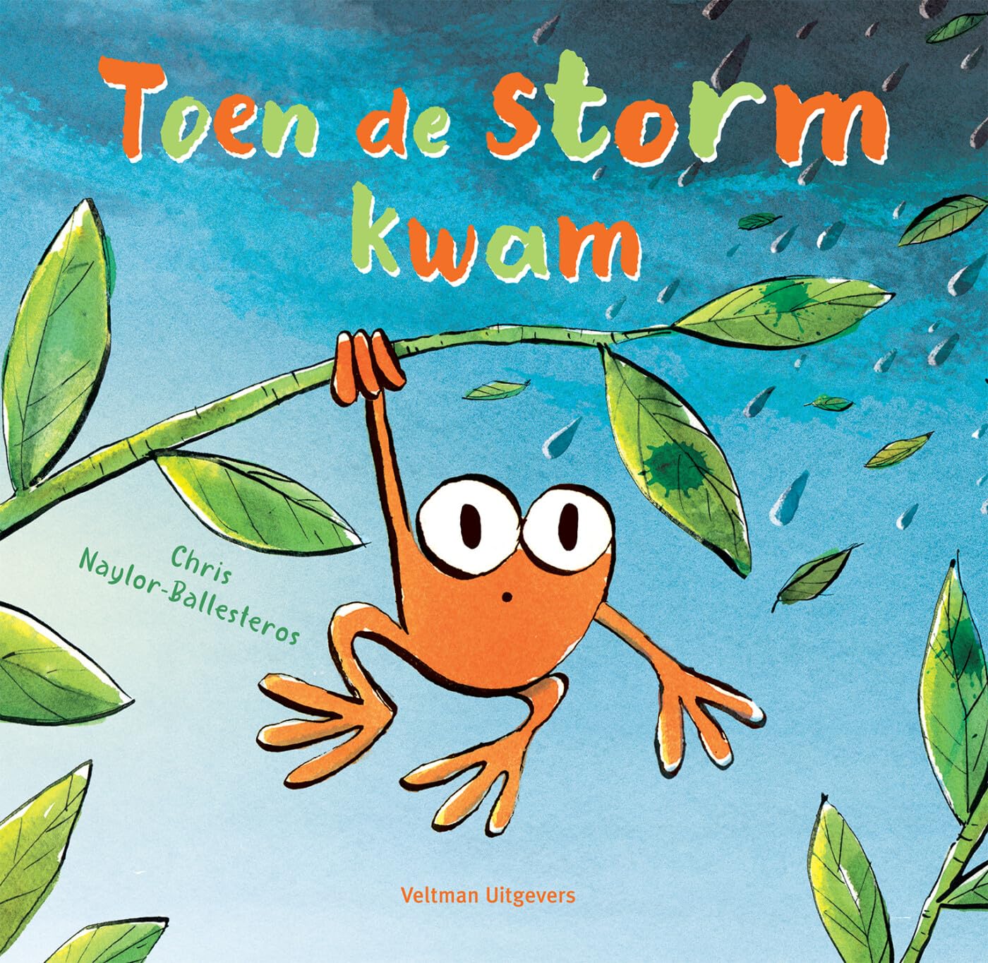 Toen de storm kwam book
