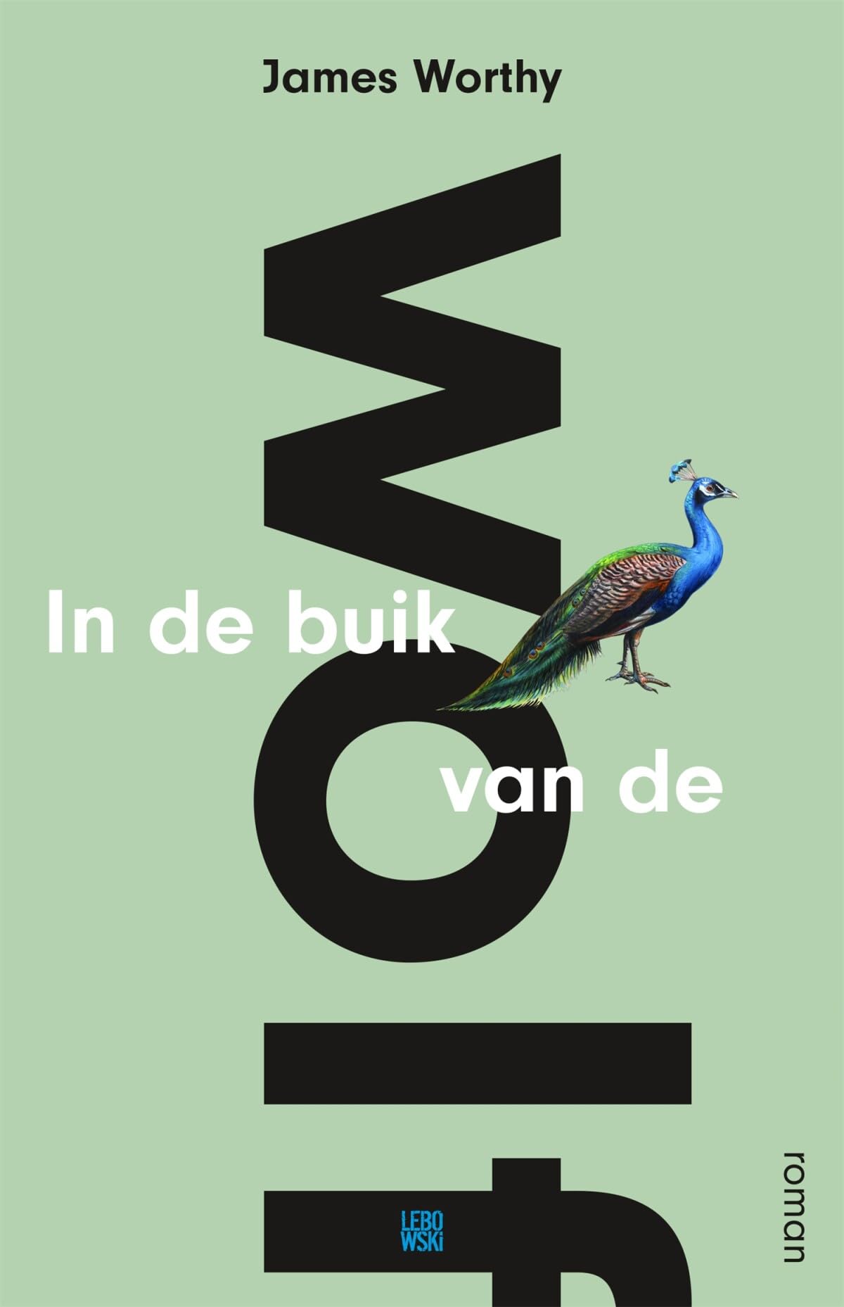 Vaarwelkom: roman Contemporary literature