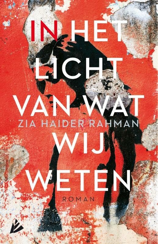In het licht van wat wij weten book