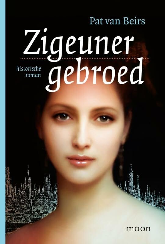 Zigeunergebroed: historische roman book