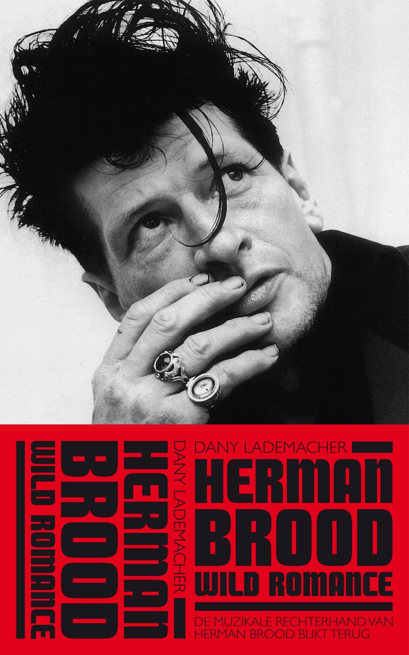 Herman Brood & Wild Romance: de muzikale rechterhand van Herman Brood blikt terug book