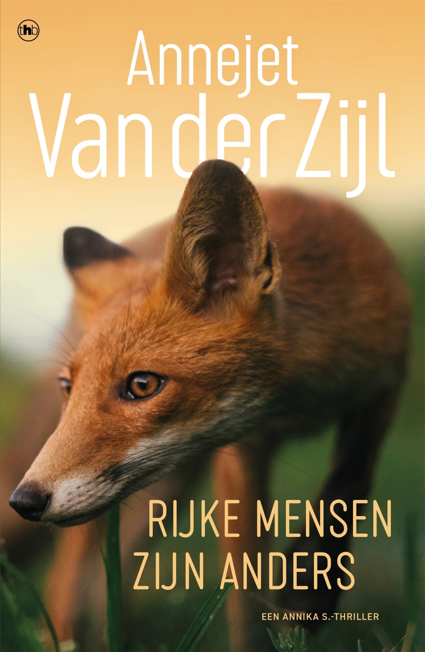 Rijke mensen zijn anders book