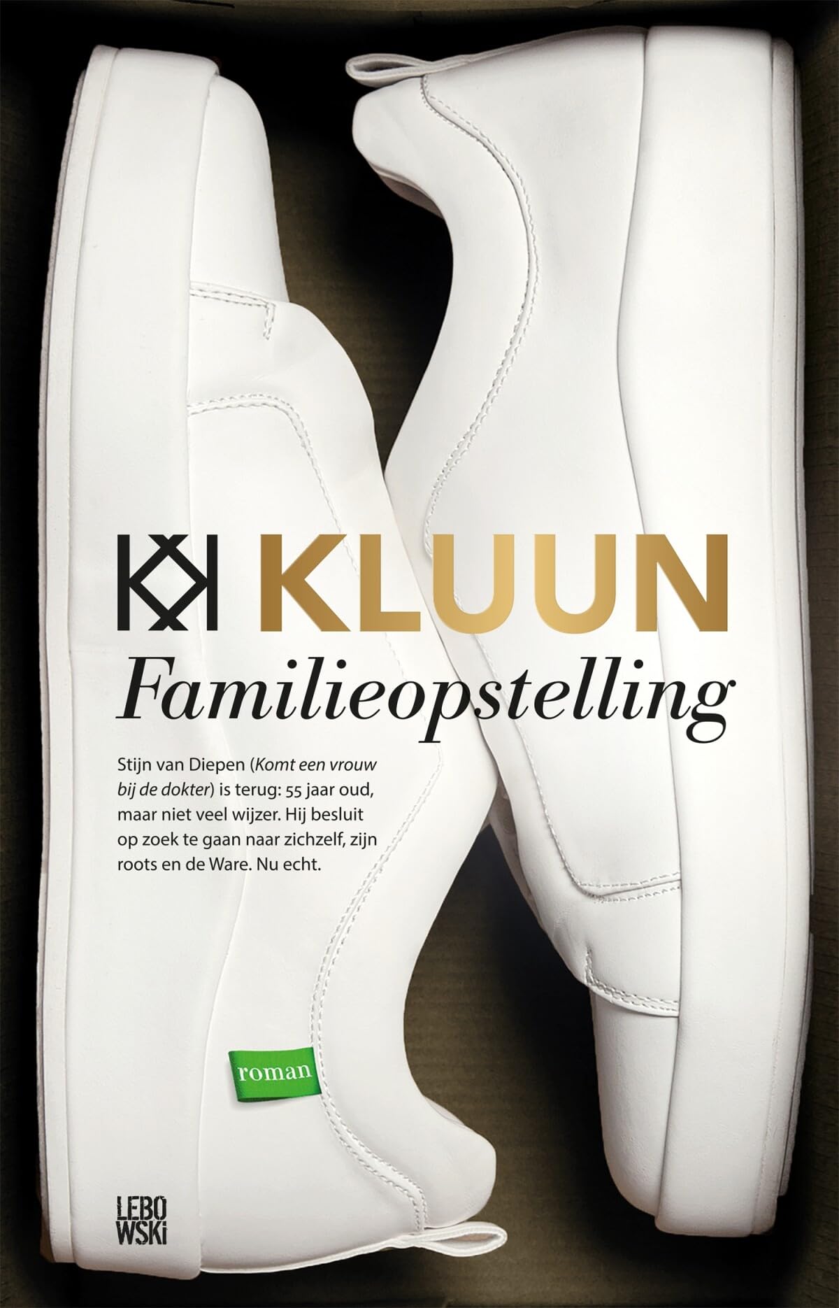 Familieopstelling: roman book