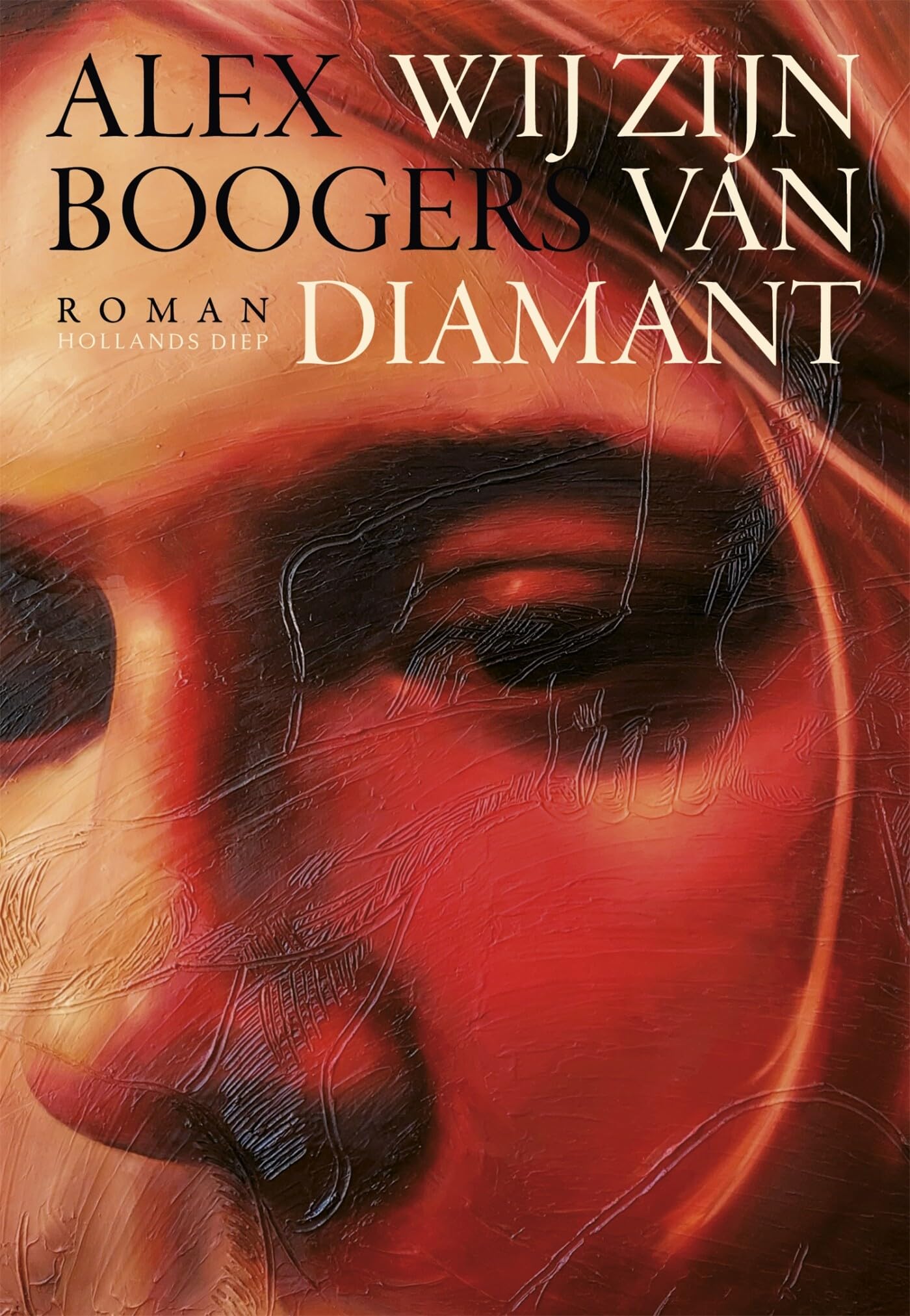 Wij zijn van diamant: roman book