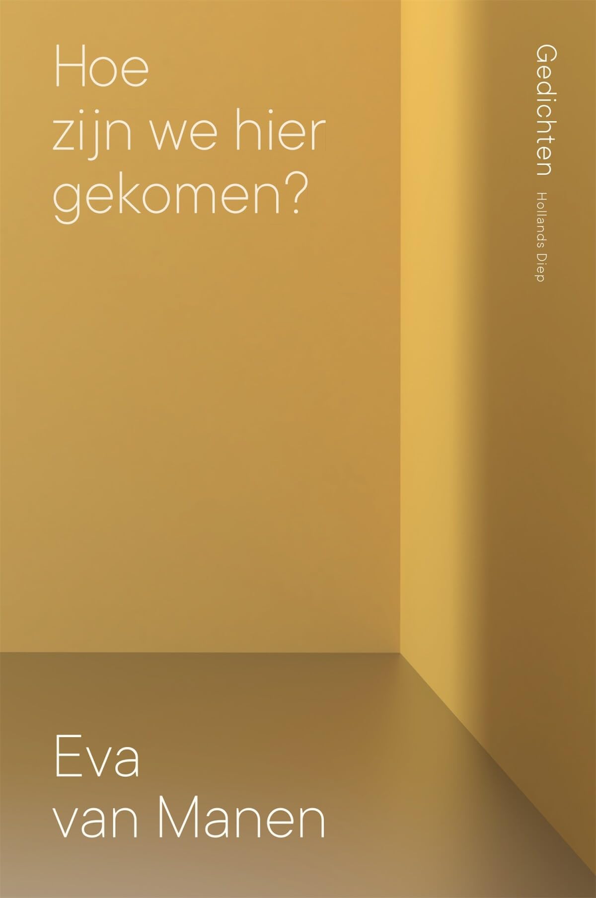 Hoe zijn we hier gekomen? book