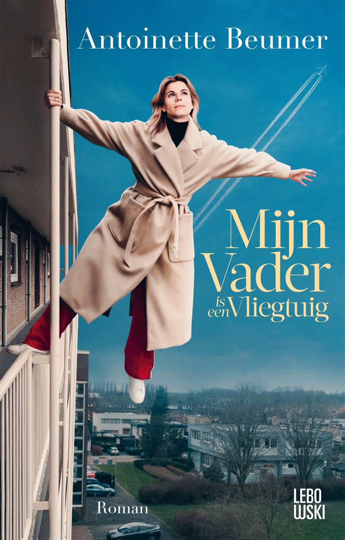 Mijn vader is een vliegtuig: roman book