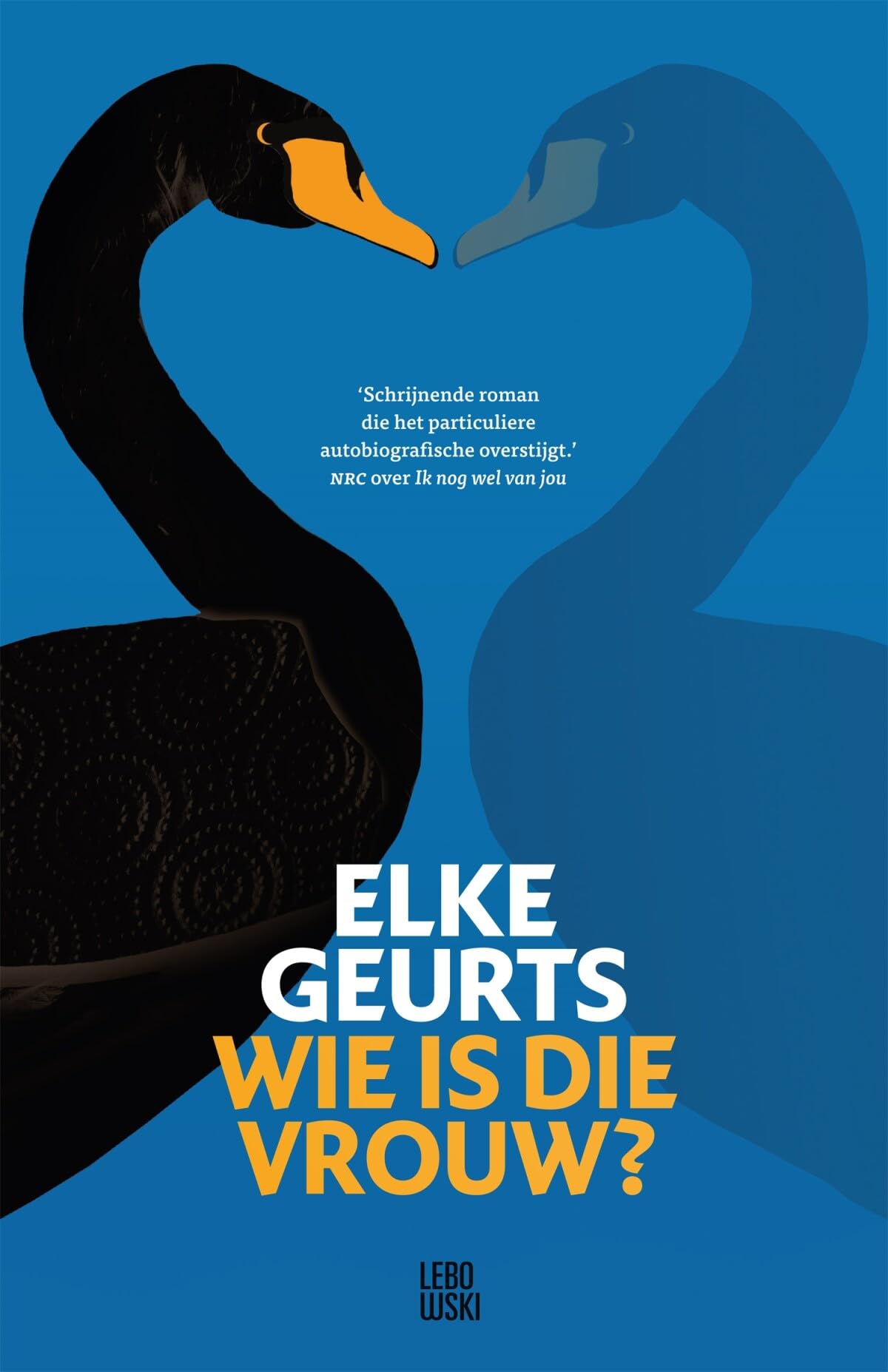 Wie is die vrouw?: roman book