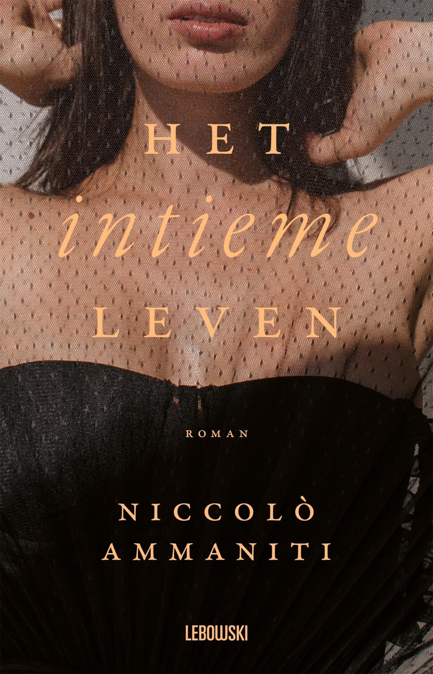 Het intieme leven: roman book