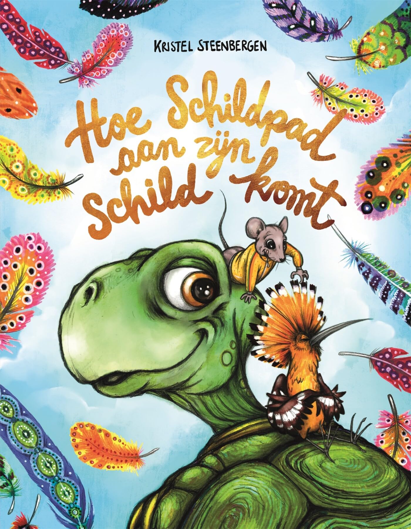 Hoe Schildpad aan zijn schild komt: een ode aan een Afrikaans volksverhaal book