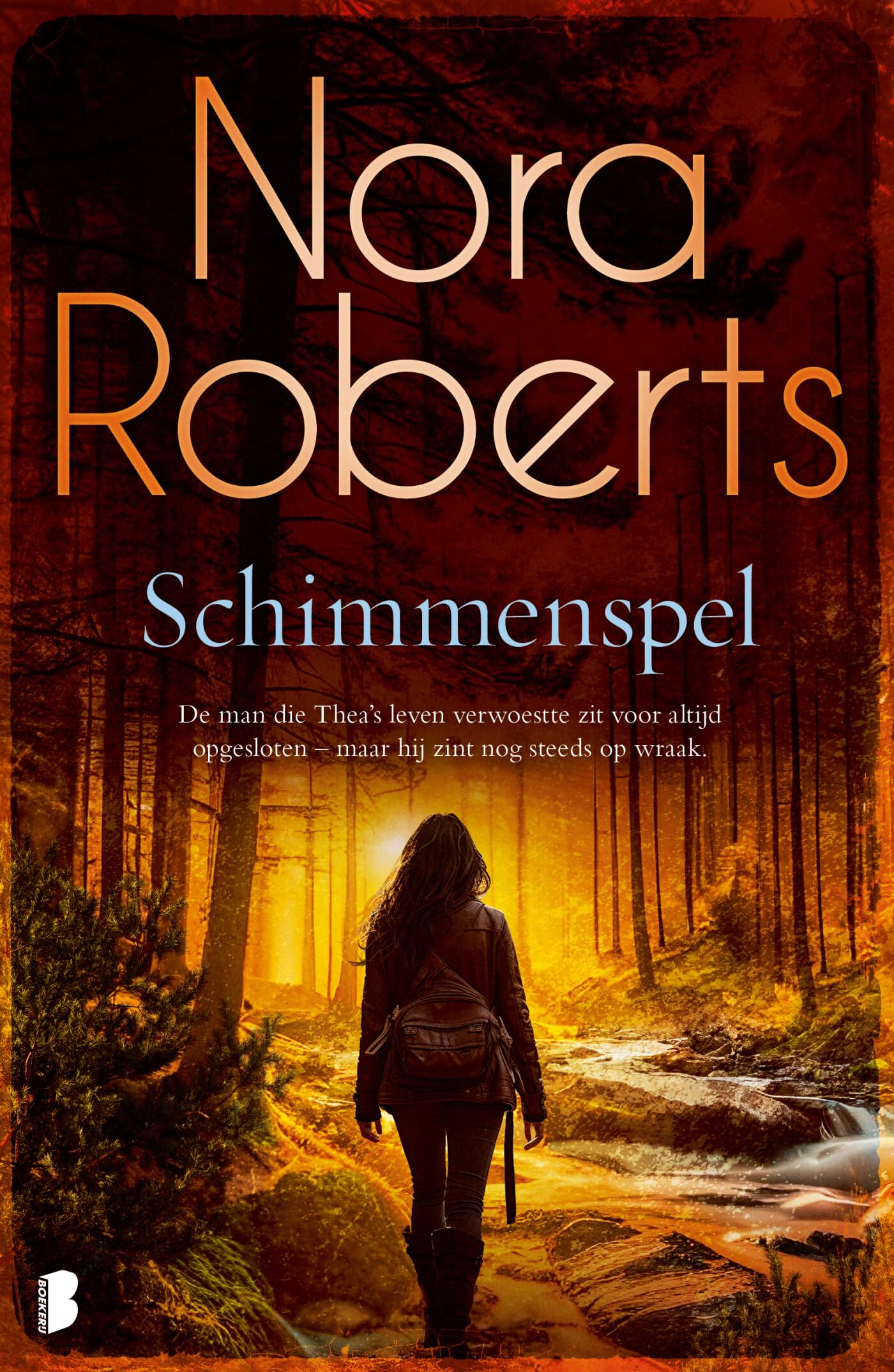 Schimmenspel: De man die Thea's leven verwoestte zit voor altijd opgesloten - maar hij zint nog steeds op wraak Contemporary literature Books