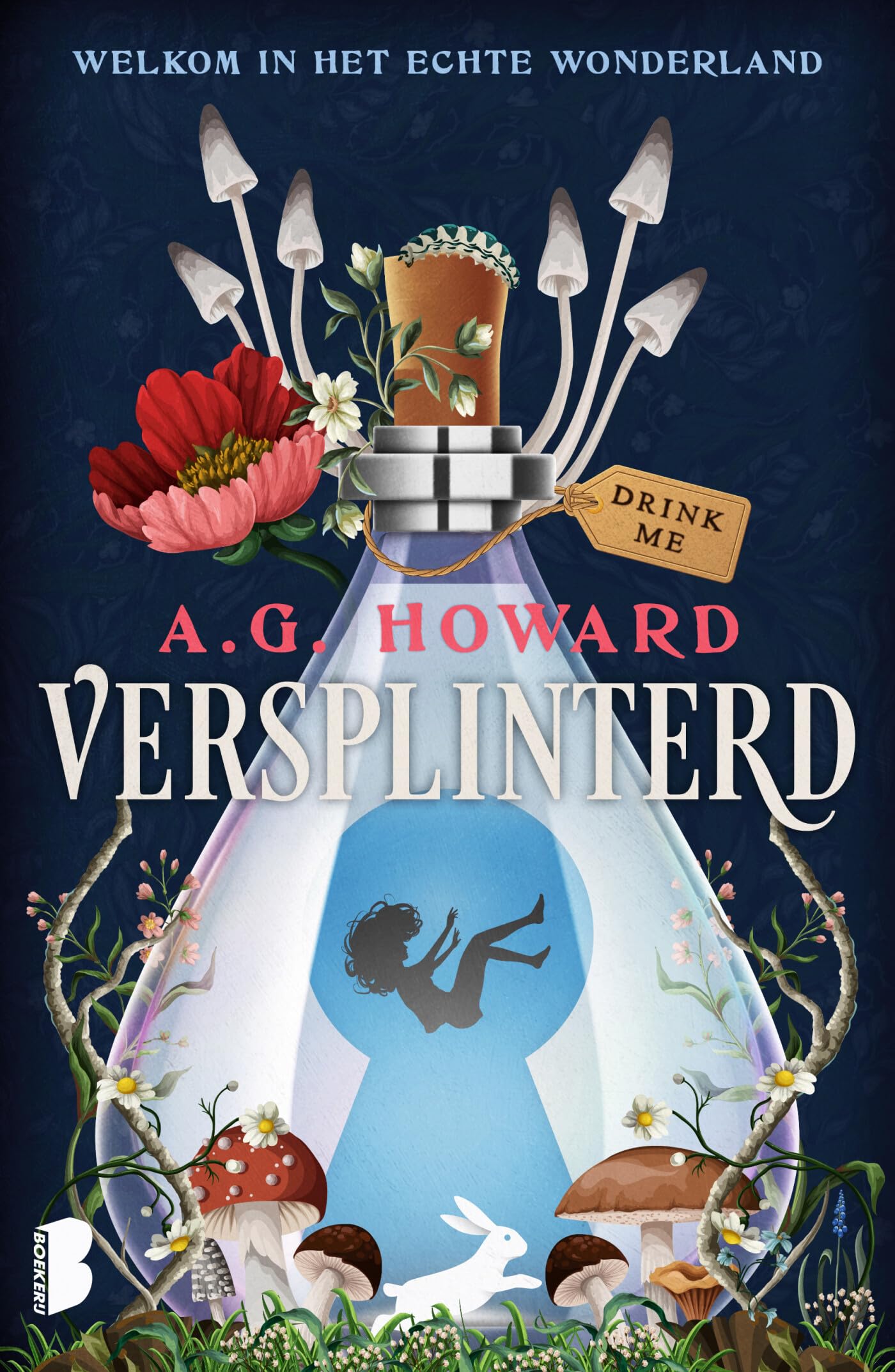 Versplinterd: welkom in het echte Wonderland (Wonderland, 1) Contemporary literature