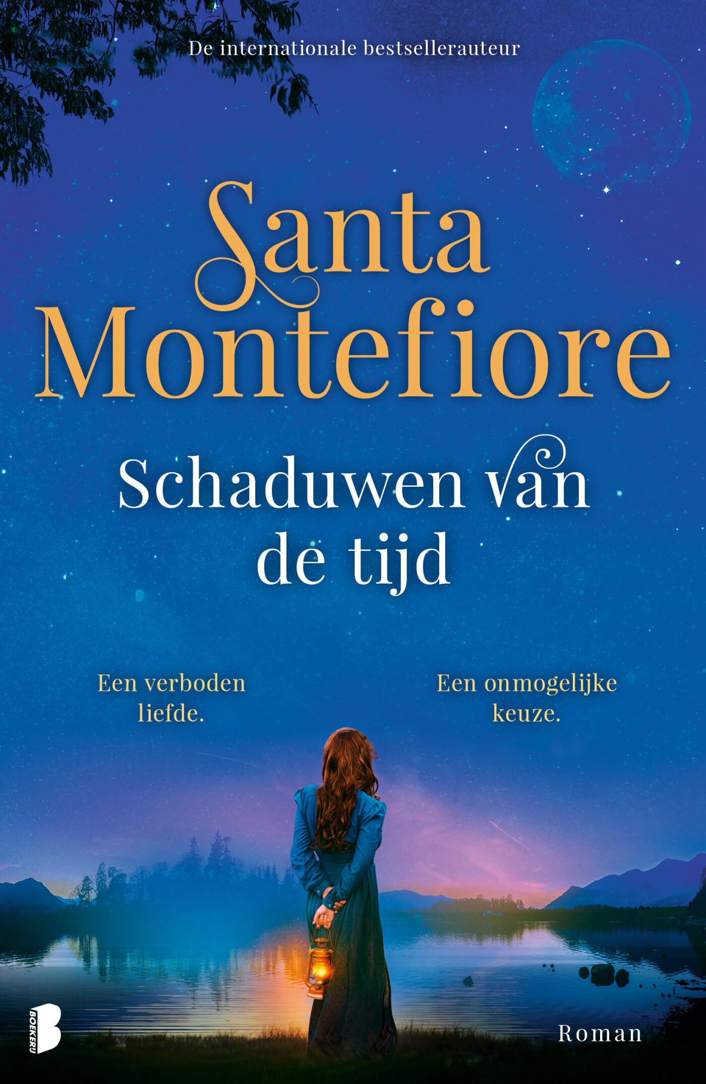 Schaduwen van de tijd: Een verboden liefde. Een onmogelijke keuze. (Pixie Tate, 1) Contemporary literature