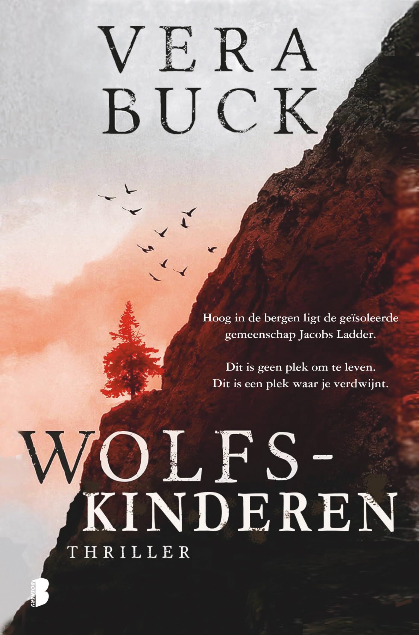 Wolfskinderen: Hoog in de bergen ligt de geïsoleerde gemeenschap Jacobs Ladder. Dit is geen plek om te leven. Dit is een plek waar je verdwijnt. Contemporary literature Books