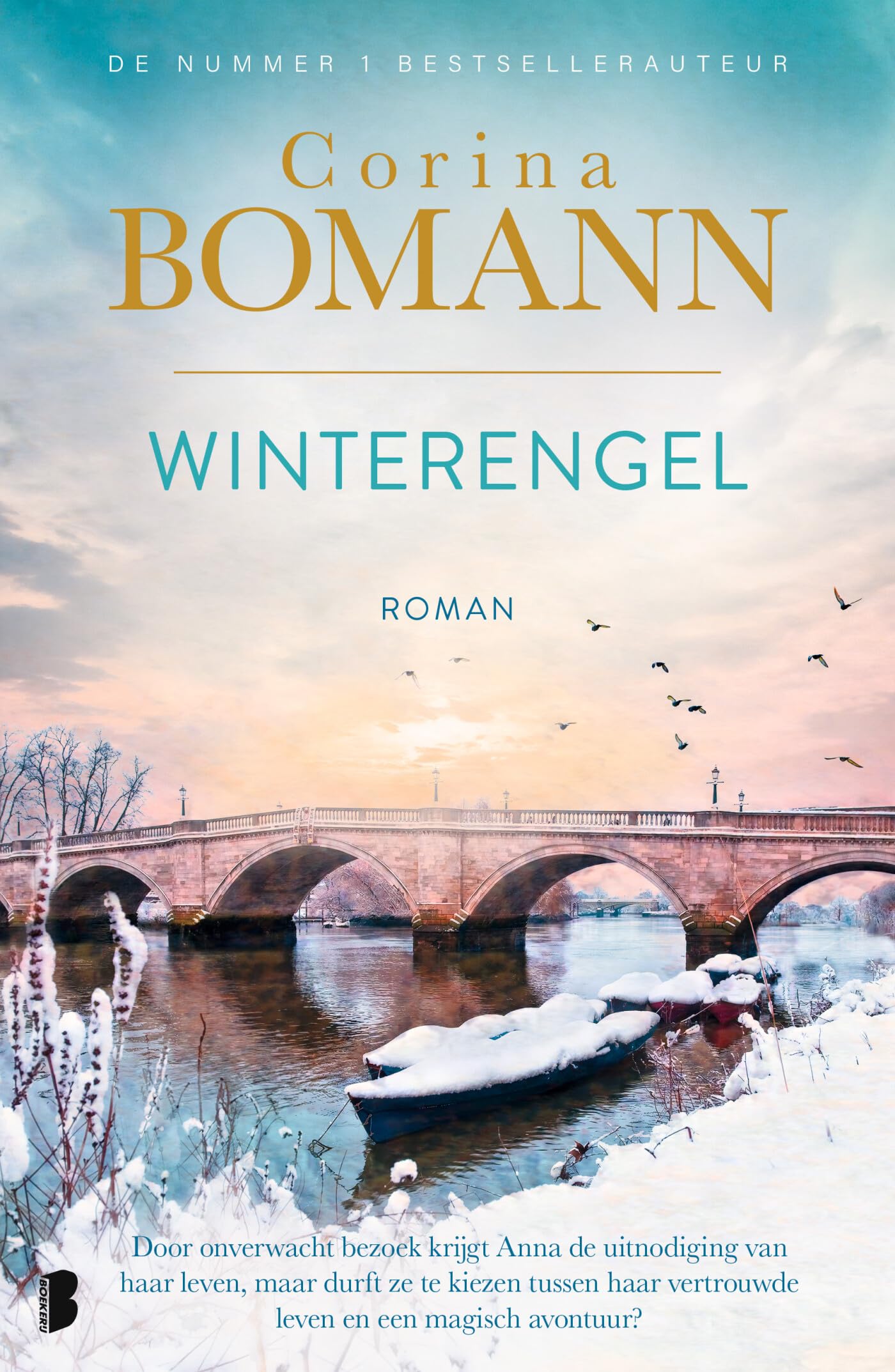 Winterengel: Door een onverwacht bezoek krijgt Anna de uitnodiging van haar leven, maar durft ze te kiezen tussen haar vertrouwde leven en een magisch avontuur? Historical Fiction