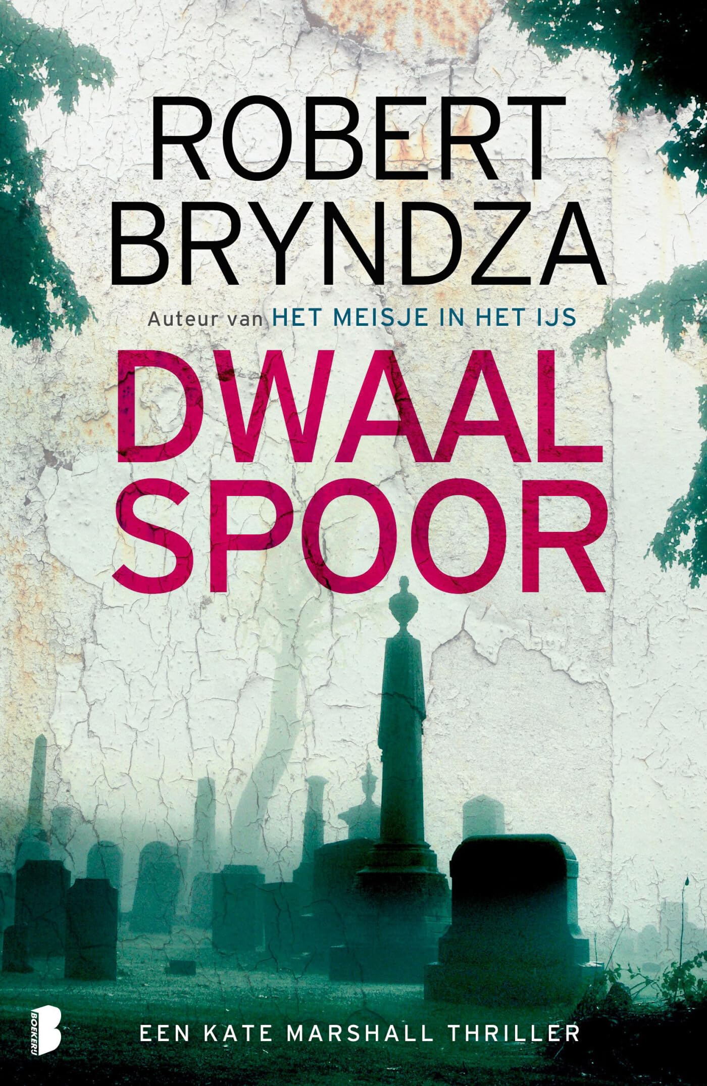 Dwaalspoor: Deel 5 Kate Marshall-serie (Kate Marshall, 5) Contemporary literature
