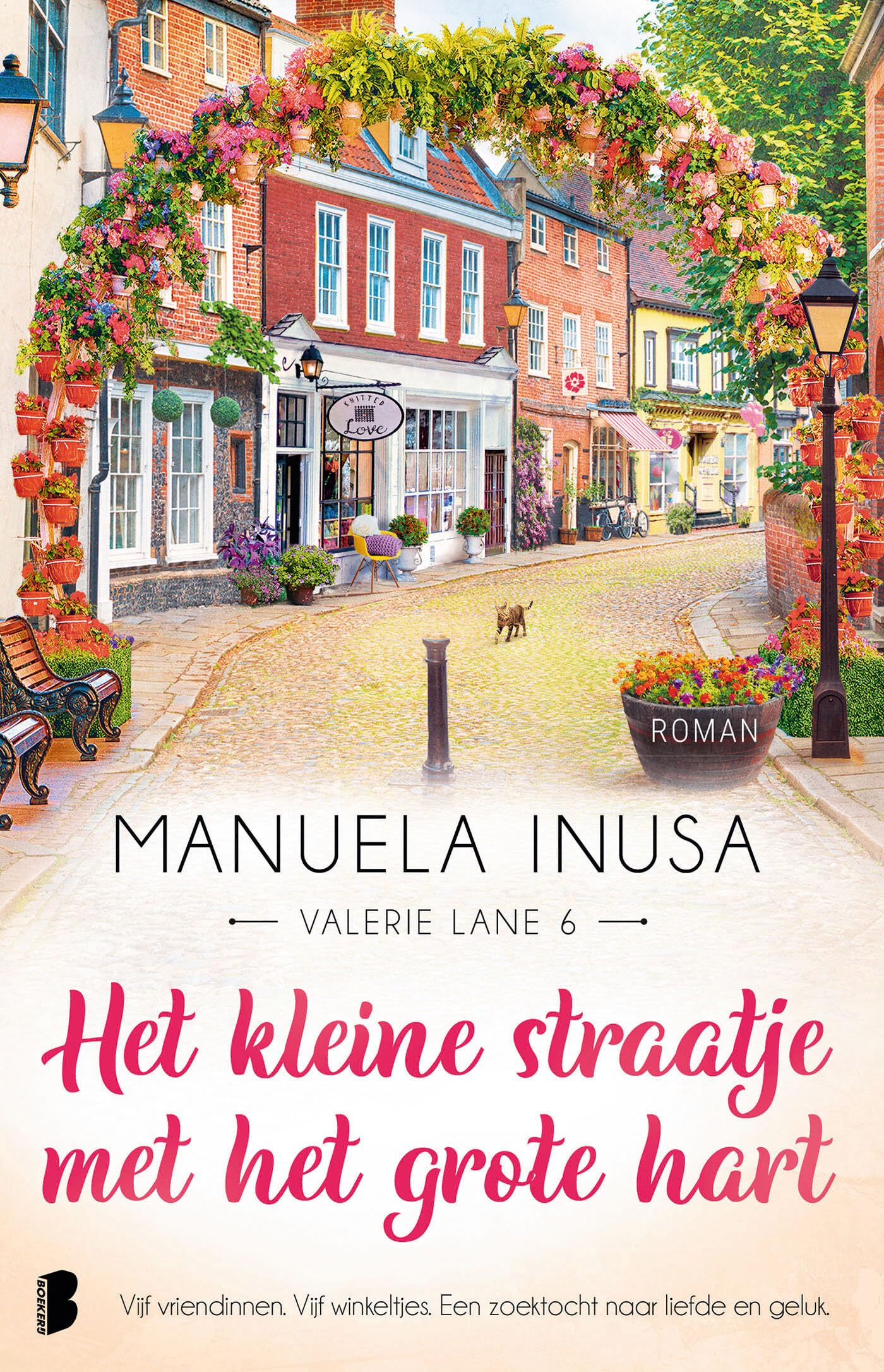 Het kleine straatje met het grote hart book