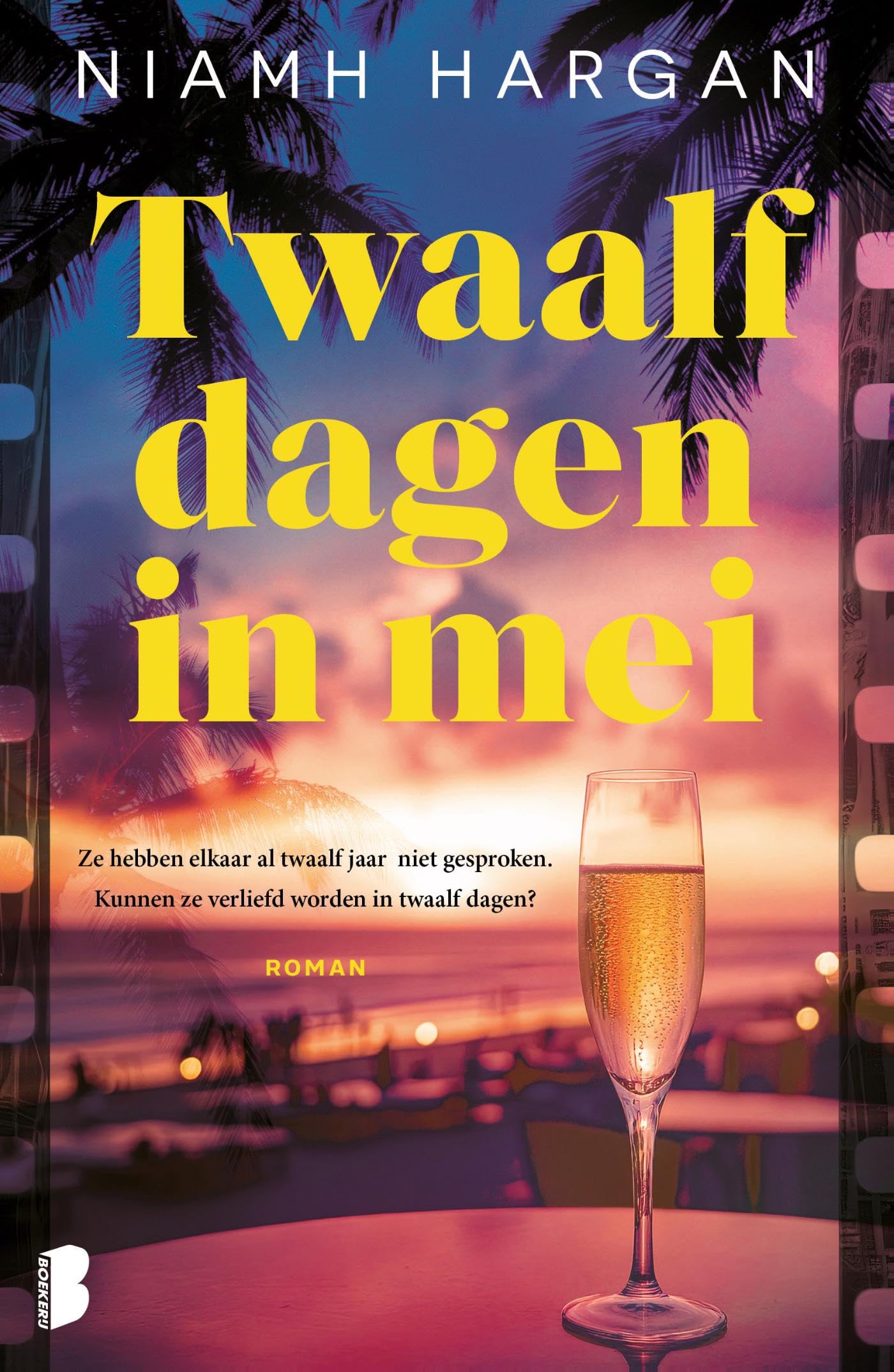 Twaalf dagen in mei book