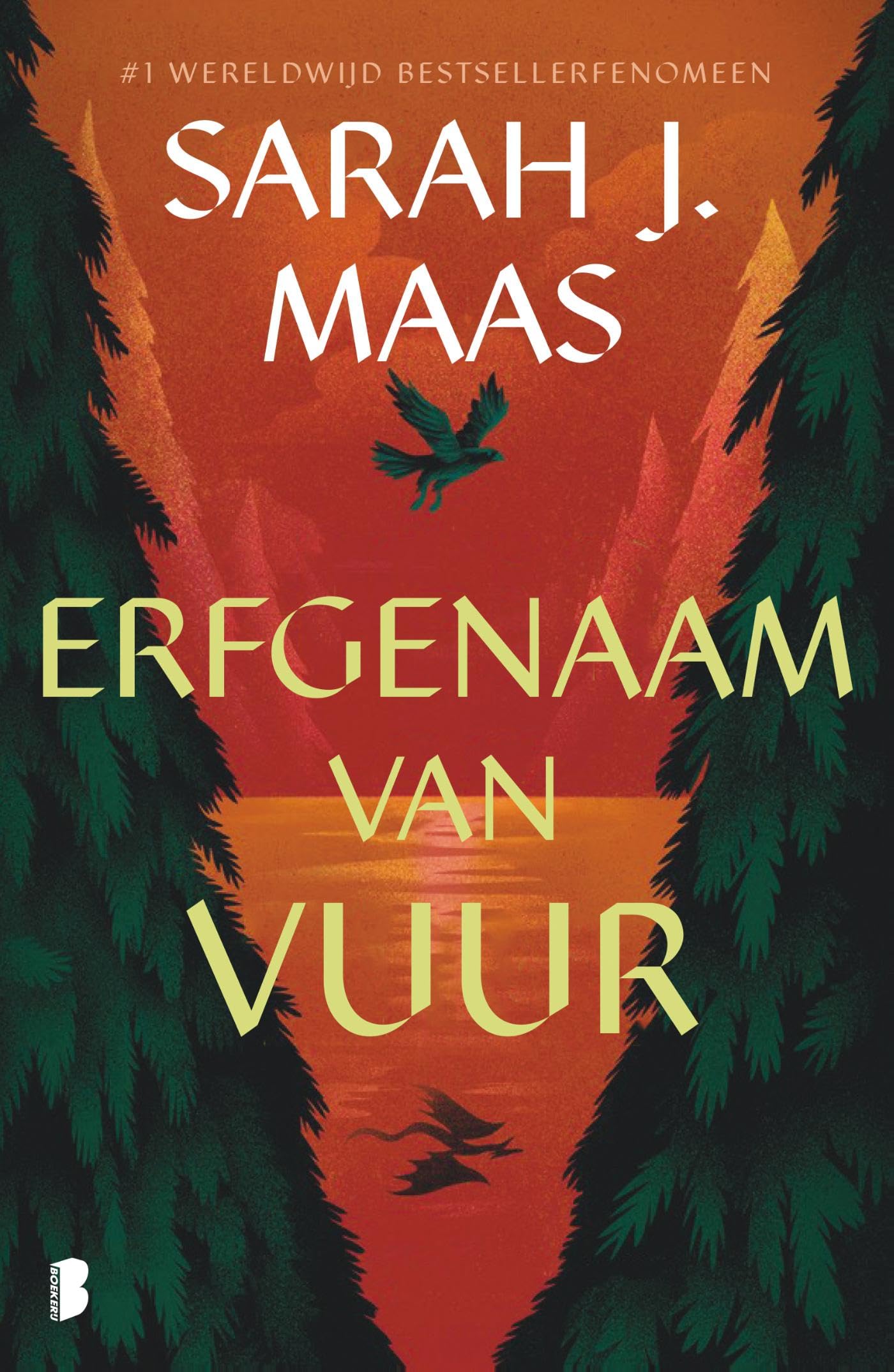 Erfgenaam van vuur: Deel 3 Glazen troon-serie book