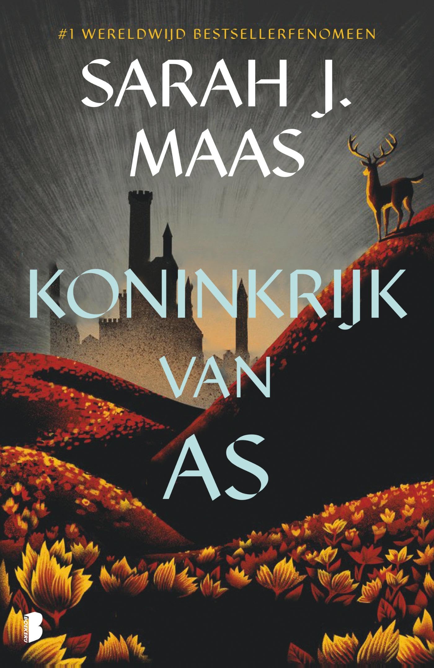 Koninkrijk van as: Deel 7 Glazen troon-serie book