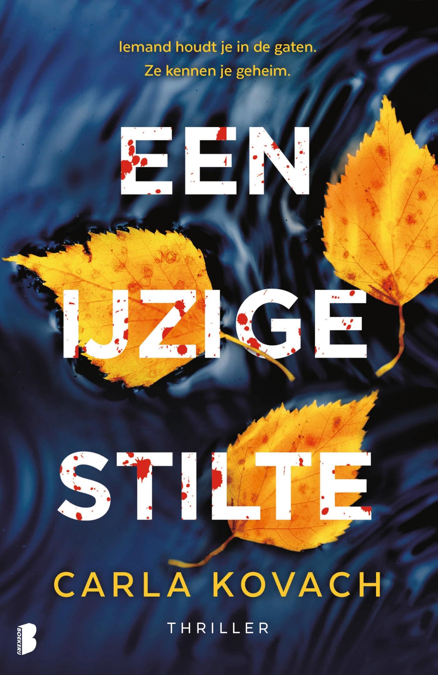 Een ijzige stilte: Iemand houdt je in de gaten. Ze kennen je geheim. (Gina Harte, 13) Contemporary literature Books
