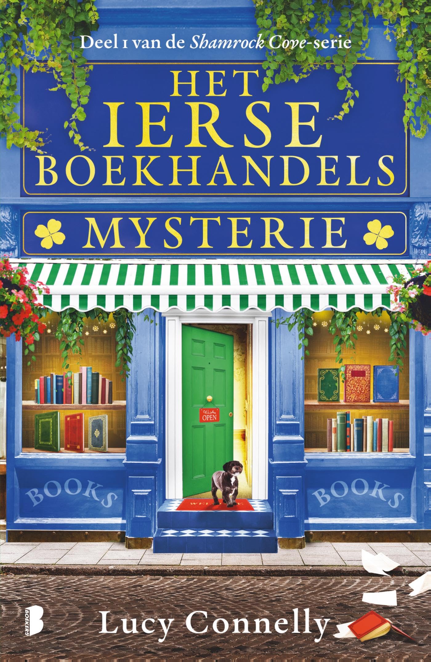 Het Ierse boekhandelsmysterie book