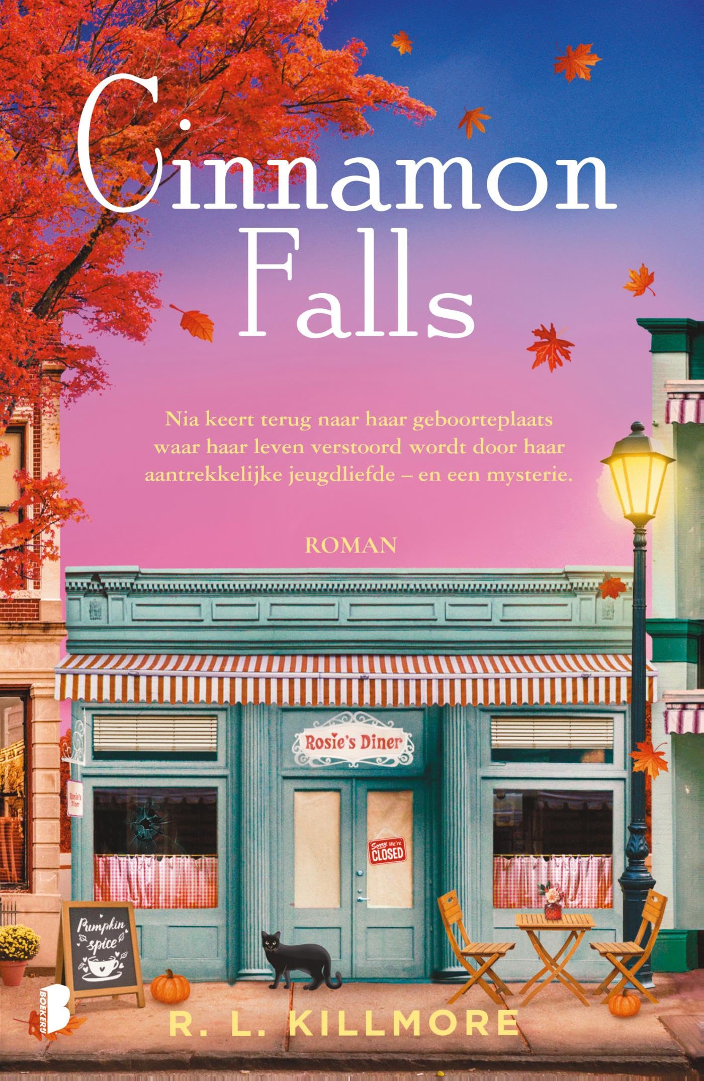 Cinnamon Falls: Nia keert terug naar haar geboorteplaats waar haar leven verstoord wordt door haar aantrekkelijke jeugdliefde - en een mysterie (Cinnamon Falls, 1) Contemporary literature Books