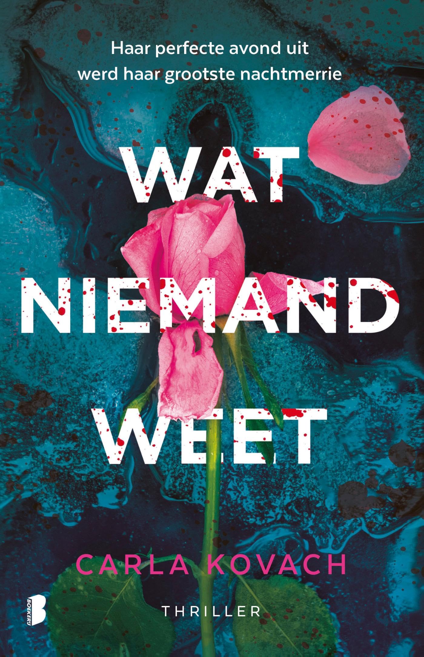 Wat niemand weet: Haar perfecte avond uit werd haar grootste nachtmerrie (Gina Harte, 14) Contemporary literature