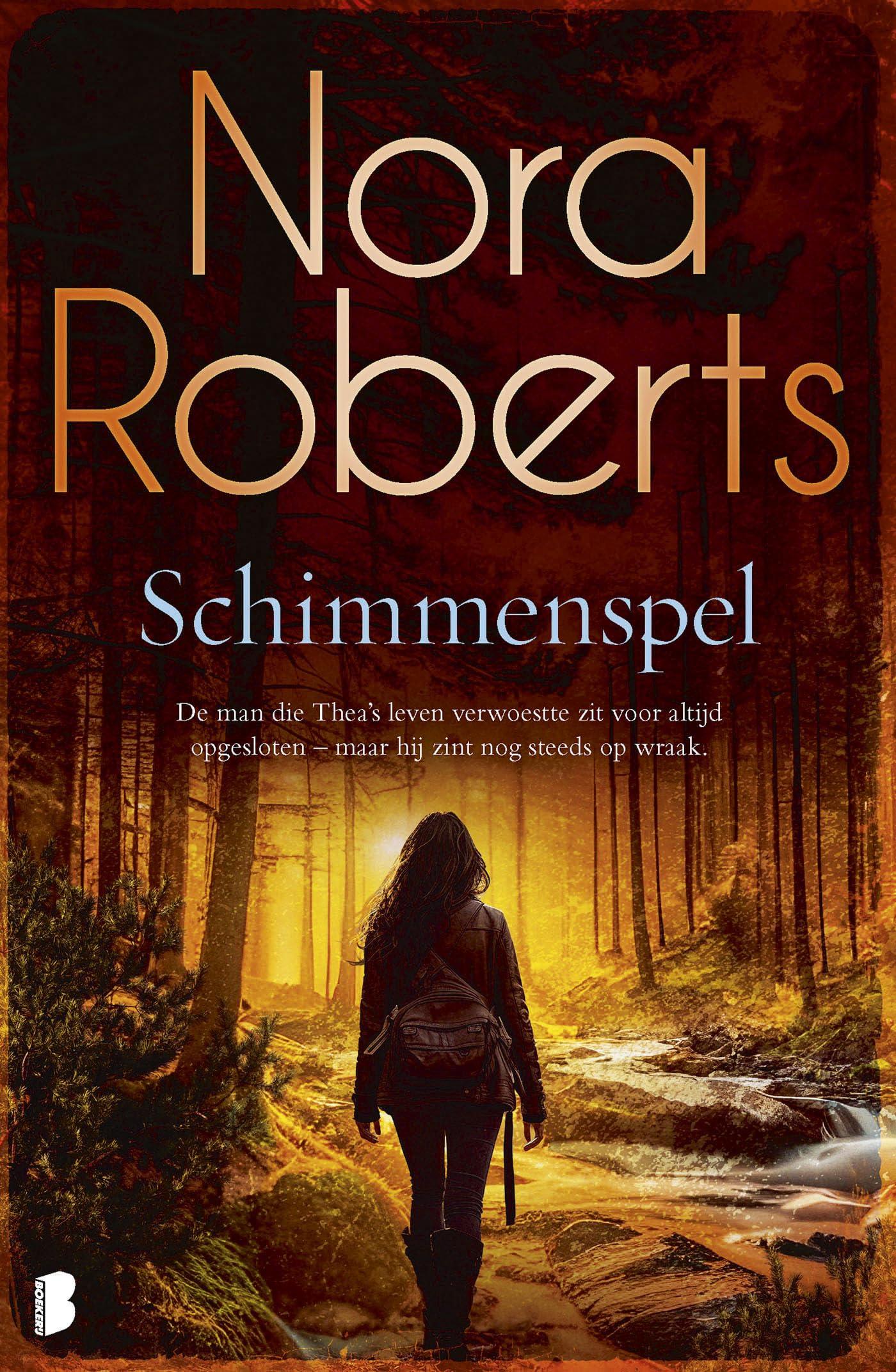 Schimmenspel: De man die Thea's leven verwoestte zit voor altijd opgesloten - maar hij zint nog steeds op wraak Contemporary literature Books