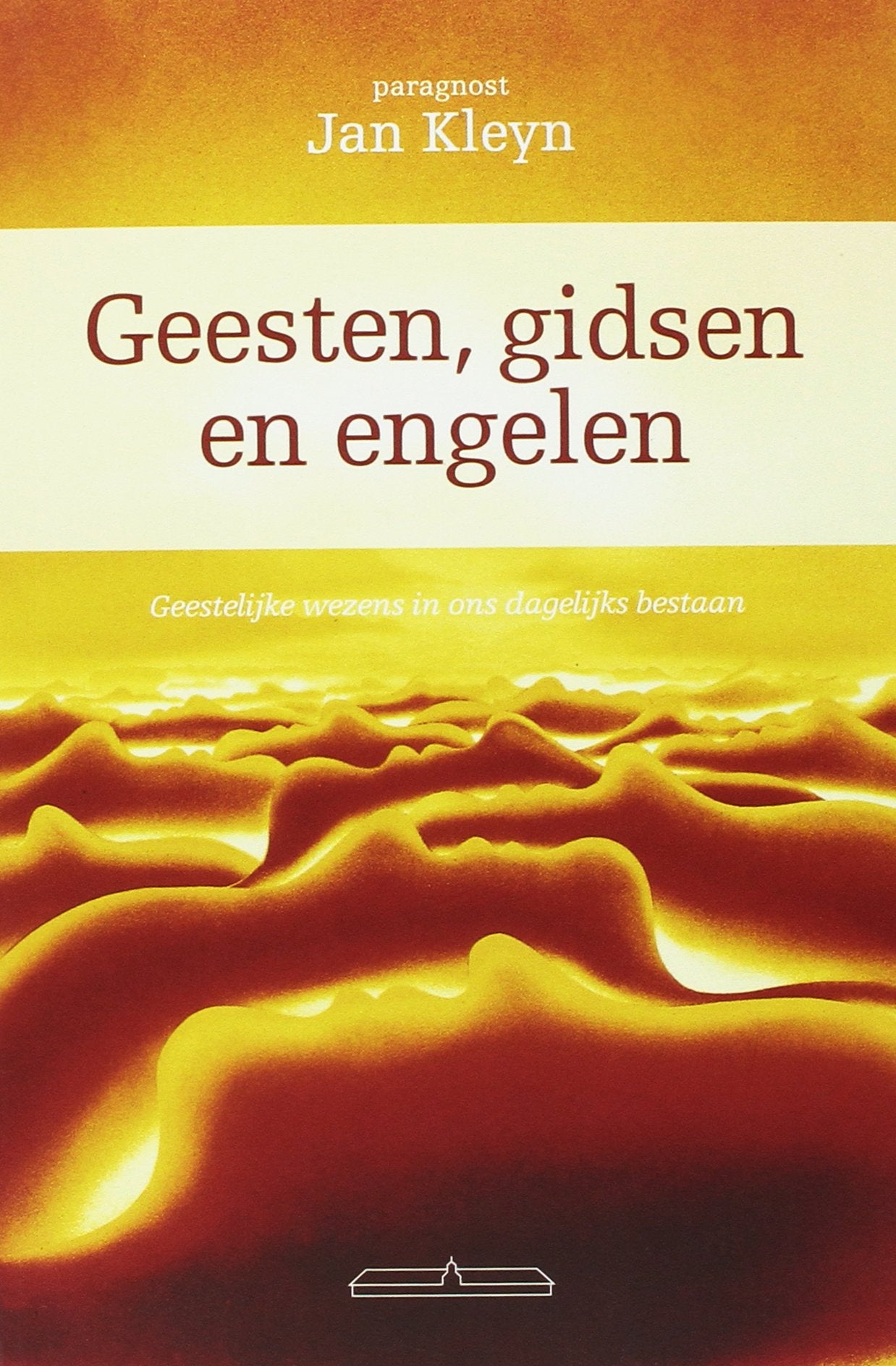 Geesten Gidsen en Engelen book