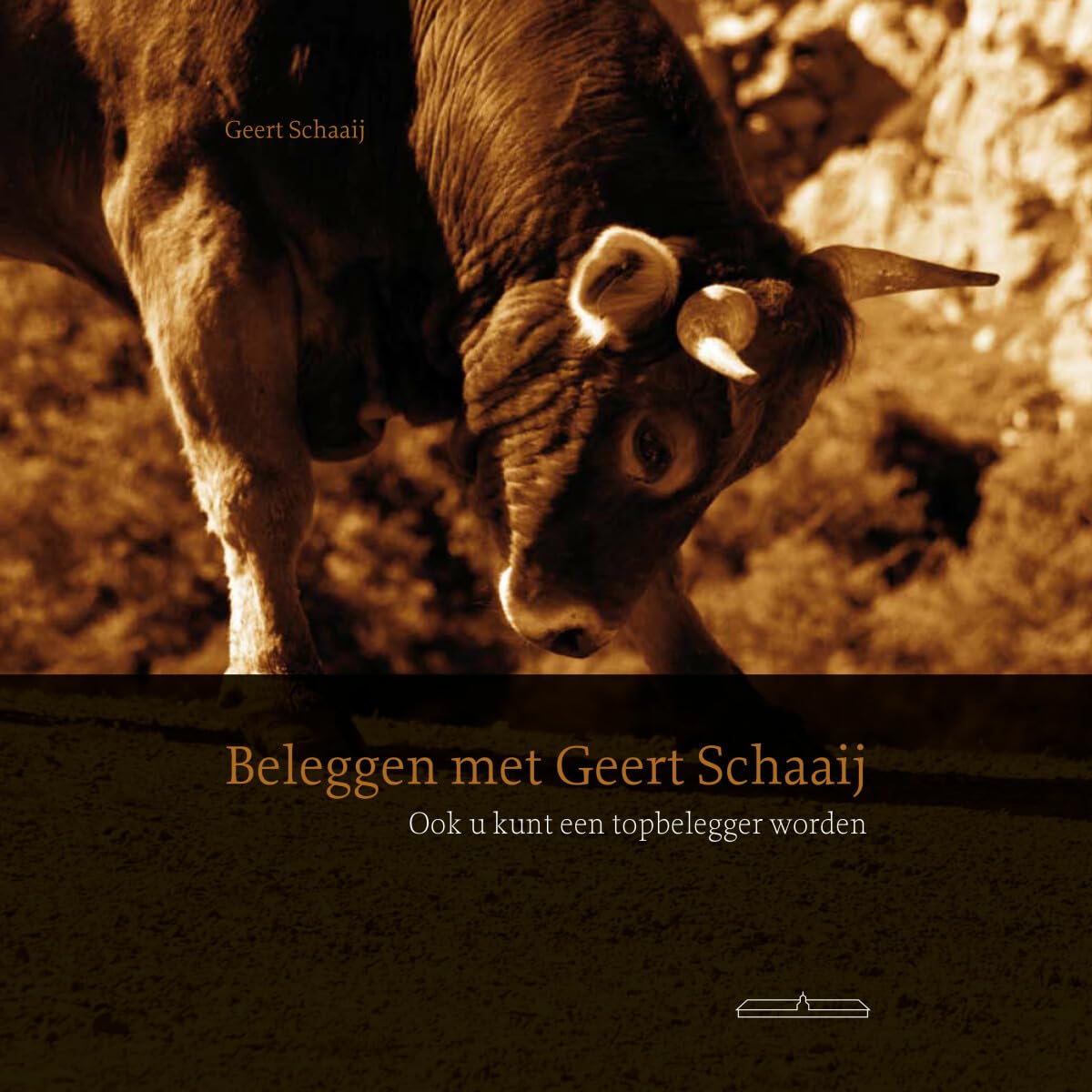 Beleggen met Geert Schaaij: ook u kunt een topbelegger worden book