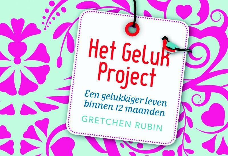 Het geluk project: een gelukkiger leven binnen 12 maanden book