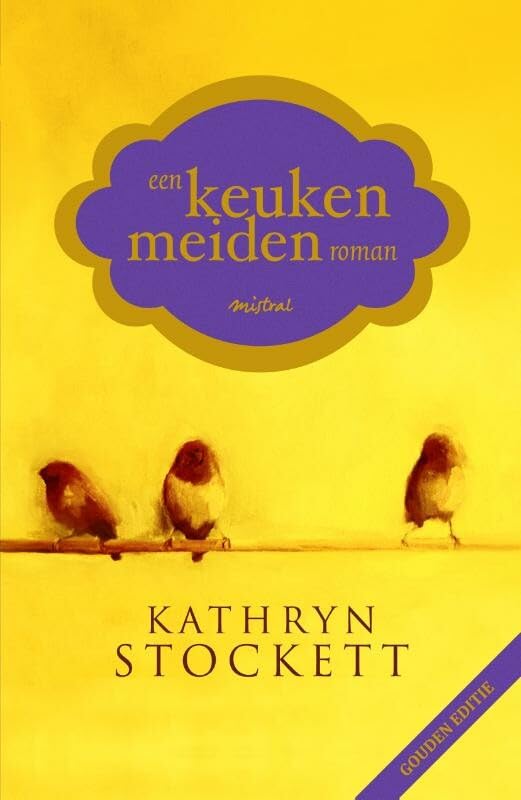 Een keukenmeidenroman Contemporary literature