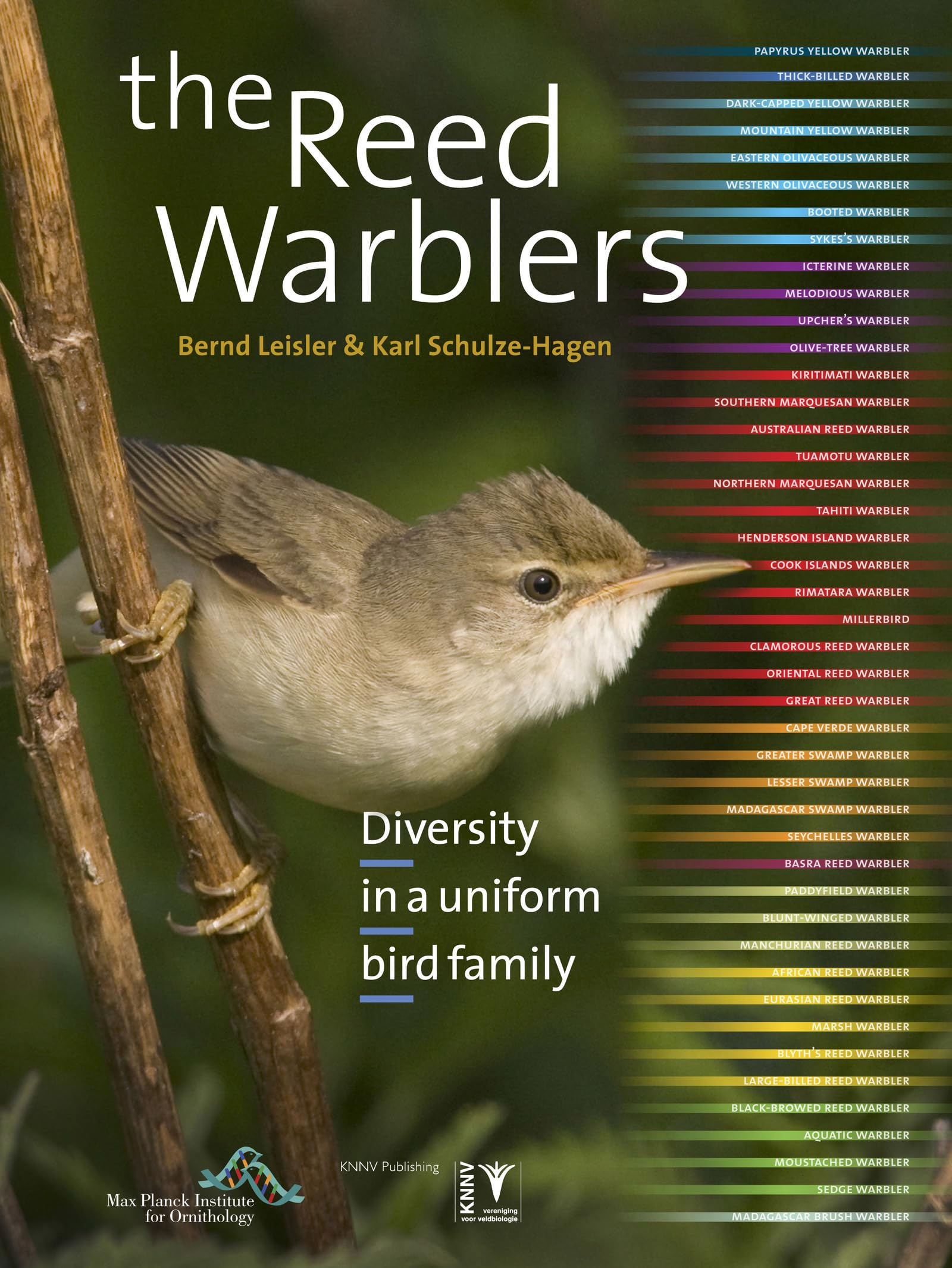 The Reed Warblers: Diversity in a Uniform Bird Family Mathematics