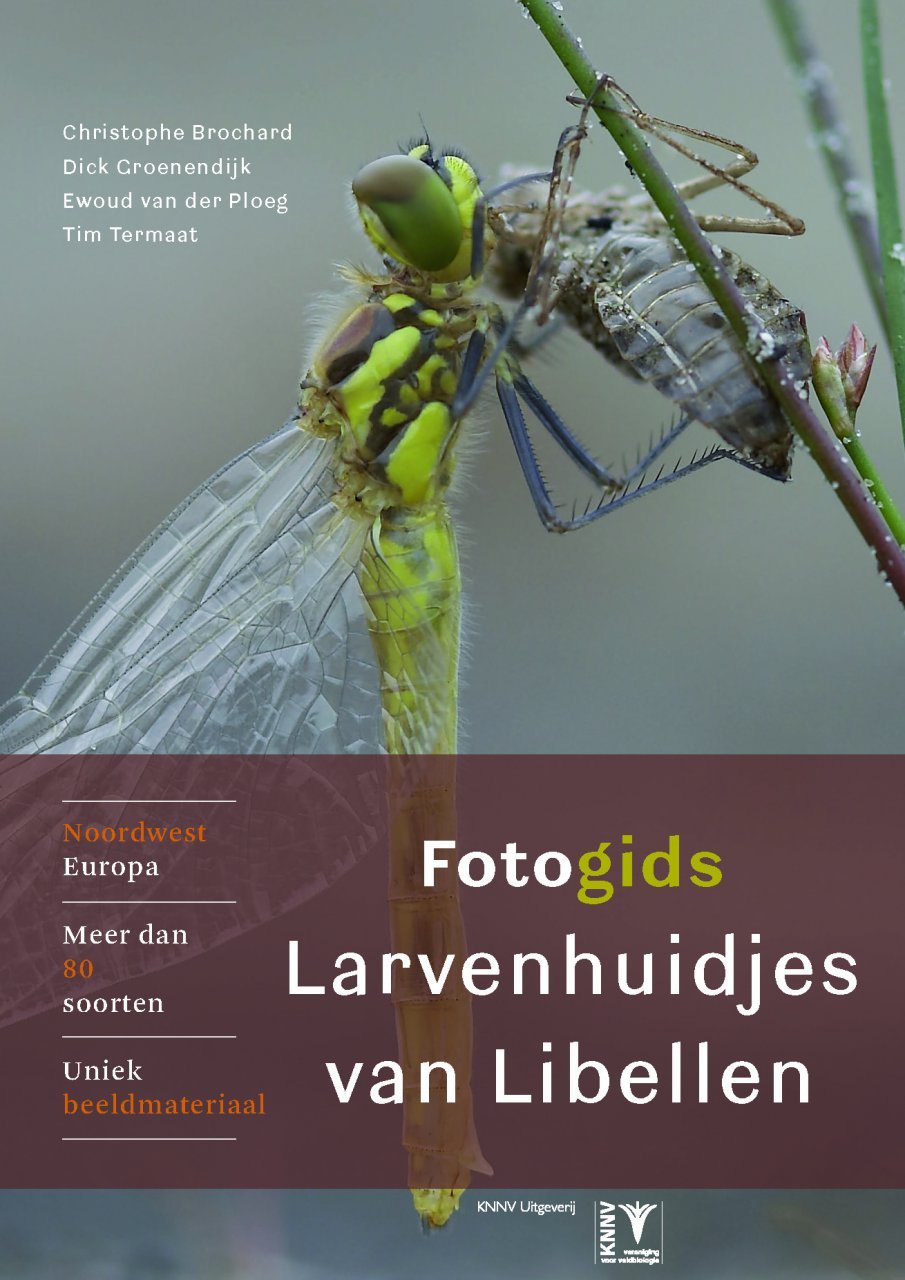Fotogids Larvenhuidjes van Libellen Professional & Reference Books