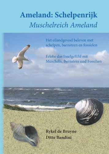 Ameland: Schelpenrijk / Muschelreich Ameland: Het Eilandgevoel Beleven met Schelpen, Barnsteen en Fossielen / Erlebe das Inselgefühl mit Muscheln, Bernstein und Fossilien Mathematics