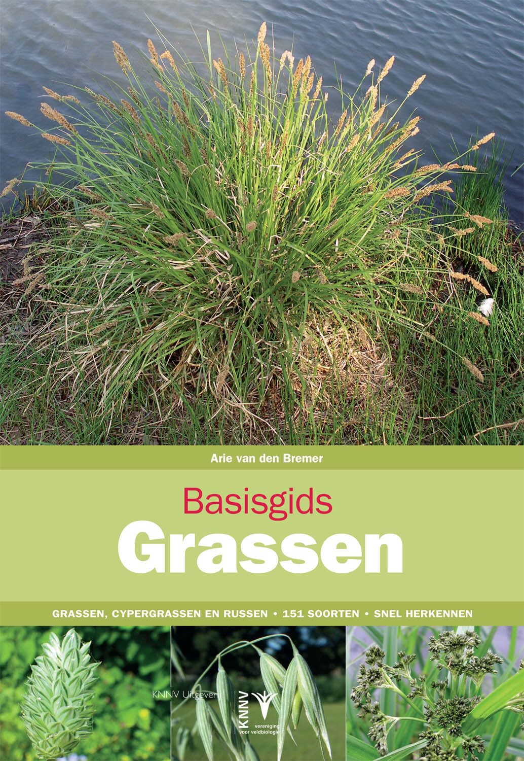 Basisgids Grassen: Grassen, Cypergrassen en Russen Herkennen (Basisgidsen) Mathematics
