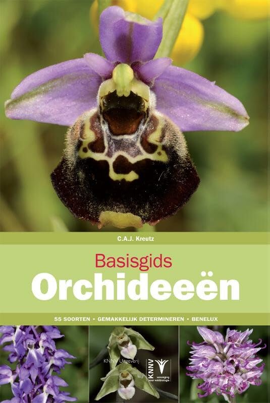 Basisgids Orchideeën: kennismaking met de hoofdsoorten van de orchideeën van de Benelux (Basisgidsen, 4) Mathematics