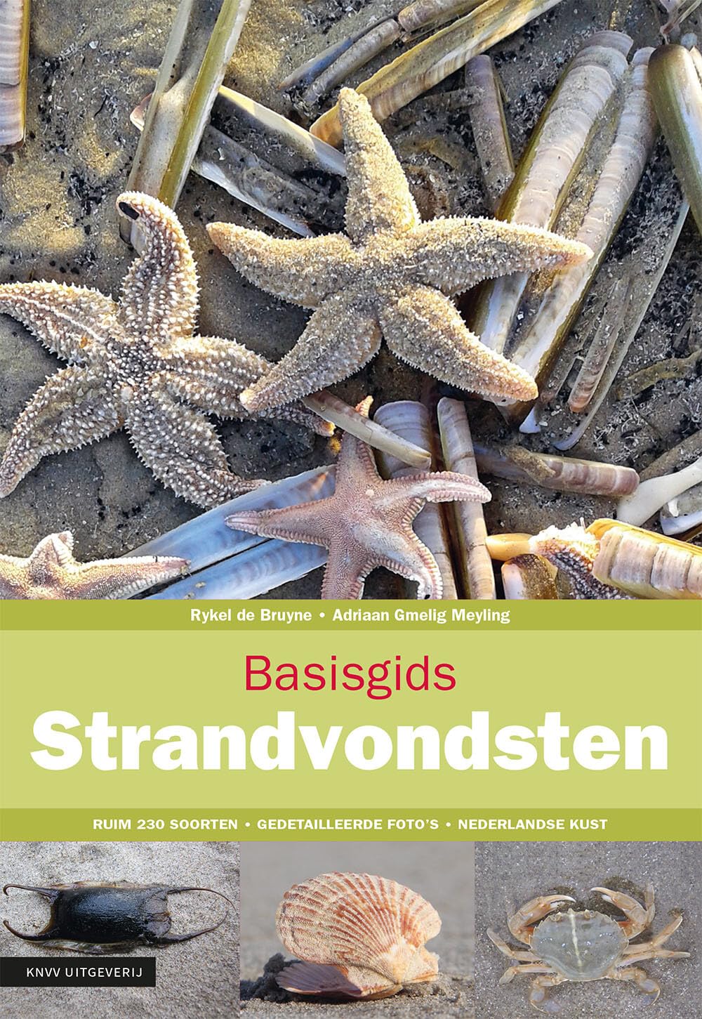 Strandvondsten: kennismaking met het zeeleven langs de Nederlandse kust (Basisgidsen) Mathematics