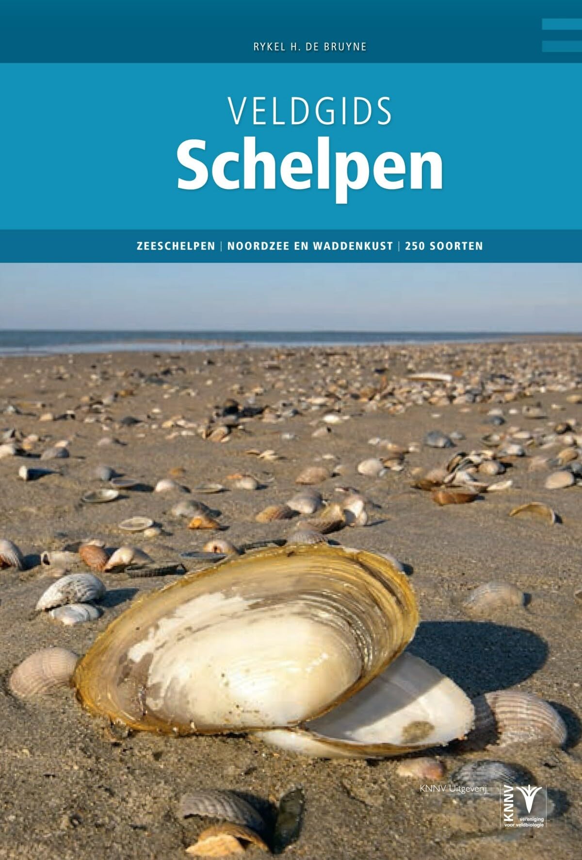 Schelpen: zeeschelpen en weekdieren uit ons Noordzeegebied book