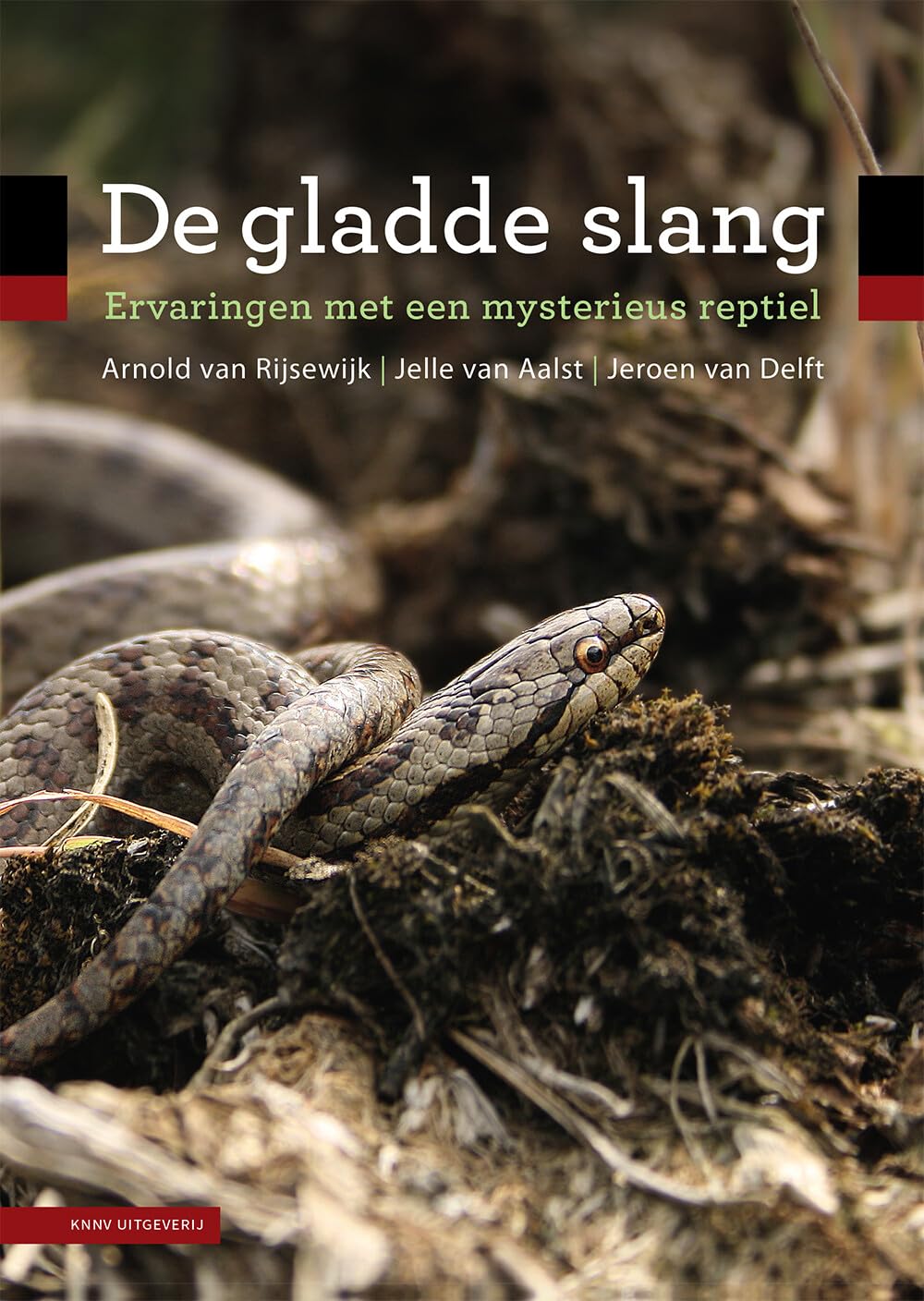De gladde slang: ervaringen met een mysterieus reptiel Mathematics