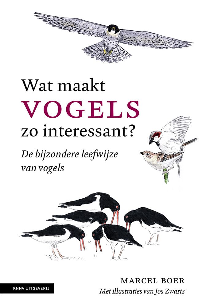 Wat maakt vogels zo interessant?: de bijzondere leefwijze van vogels book
