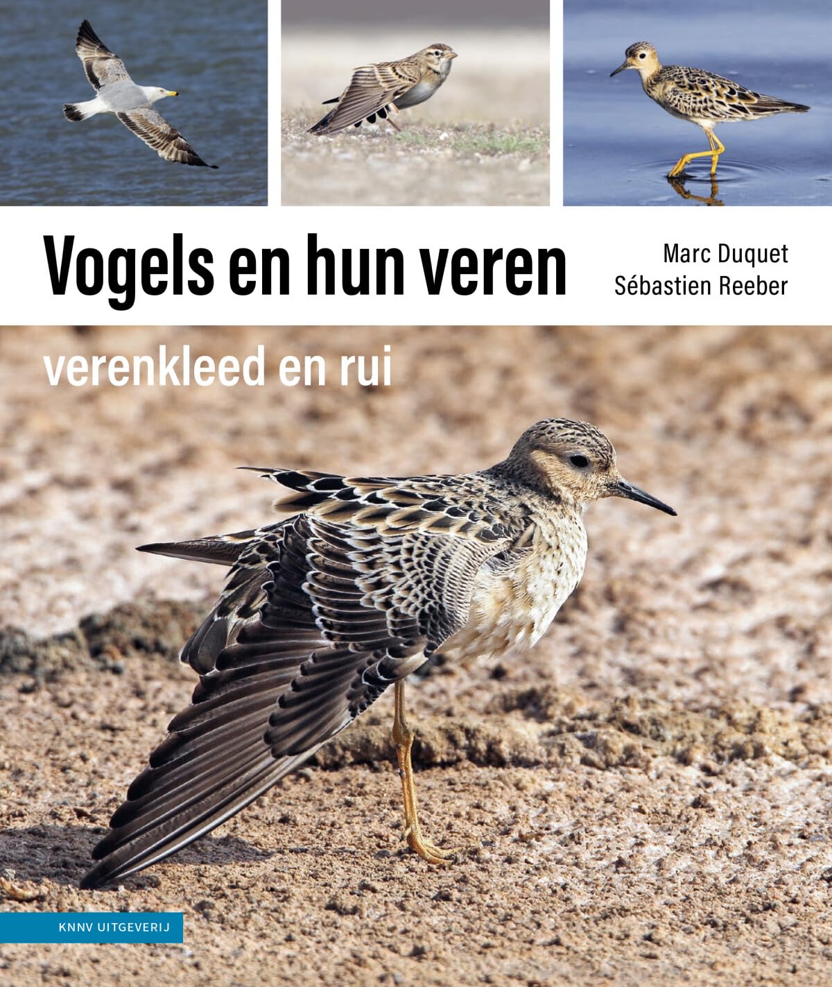 Vogels en hun veren: verenkleed en rui book