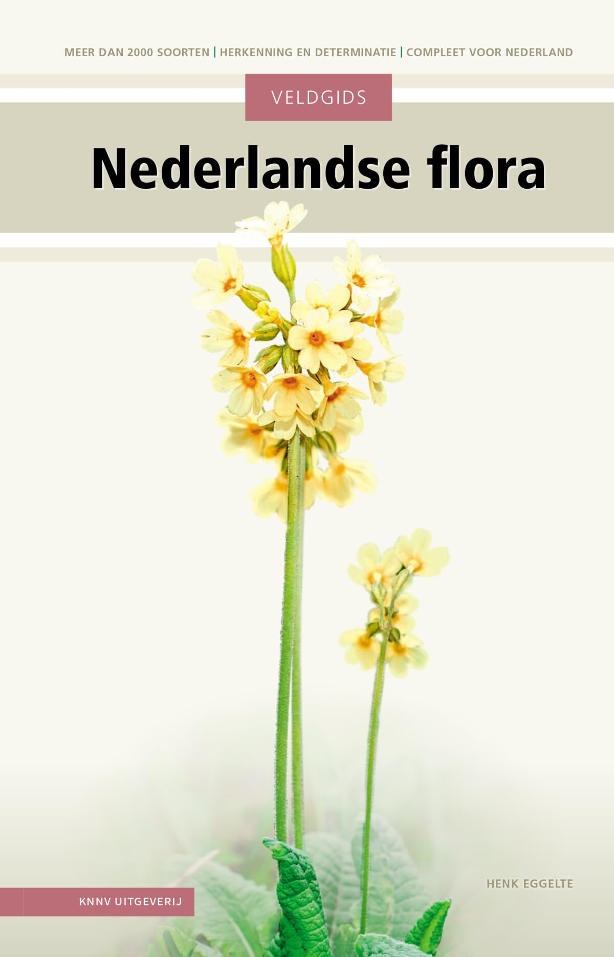 Veldgids Nederlandse flora: Wilde planten herkennen & determineren Mathematics