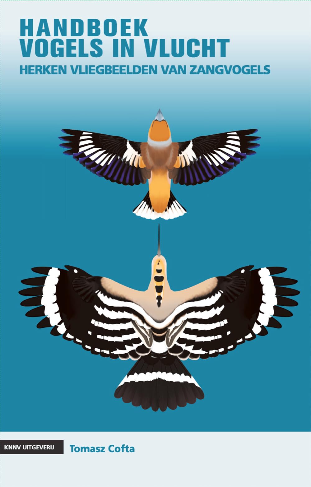 Handboek vogels in vlucht: herken vliegbeelden van zangvogels book