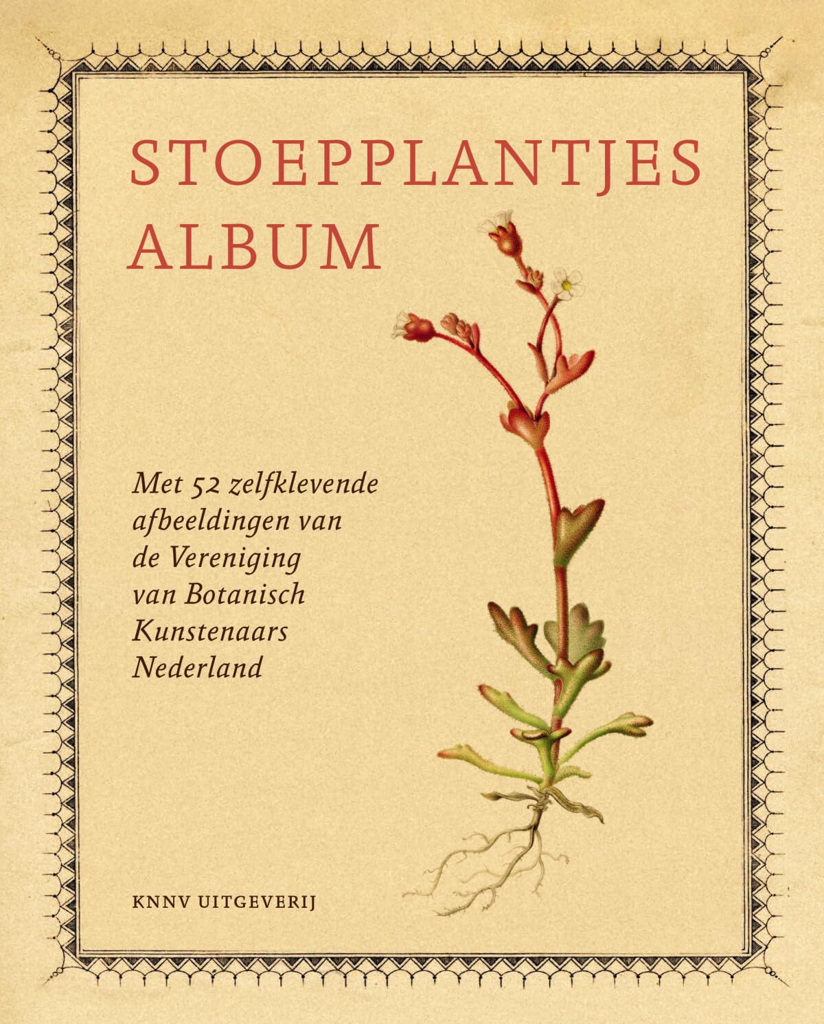 Stoepplantjes album: zoek de stoepplantjes en maak dit album compleet Film, Art & Culture