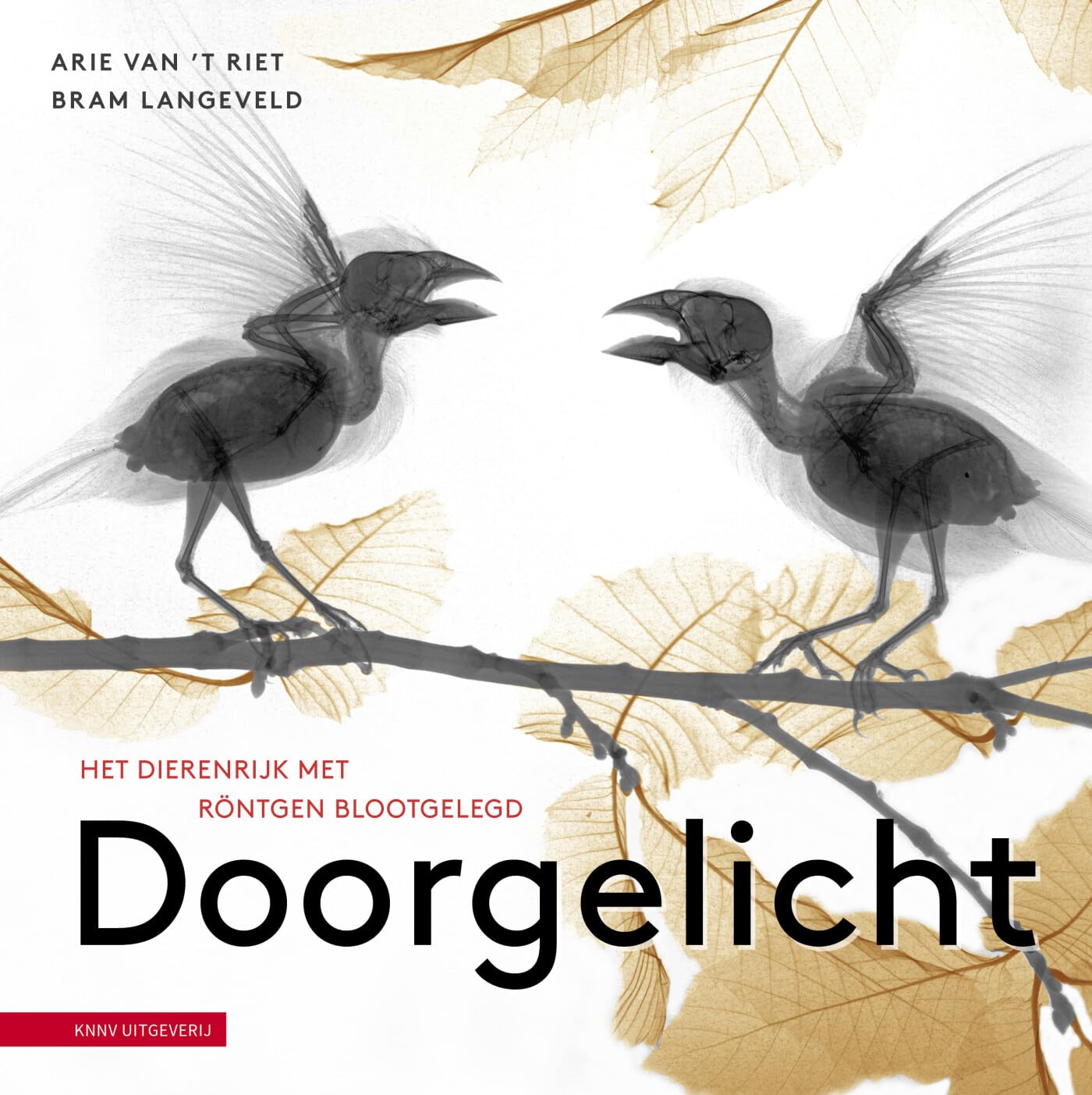 Doorgelicht: het dierenrijk met röntgen blootgelegd Medicine