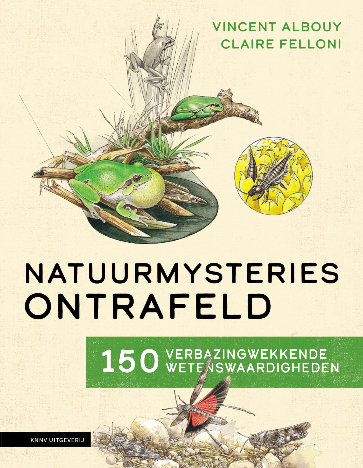 Natuurmysteries ontrafeld: 150 verbazingwekkende wetenswaardigheden over de natuur Mathematics