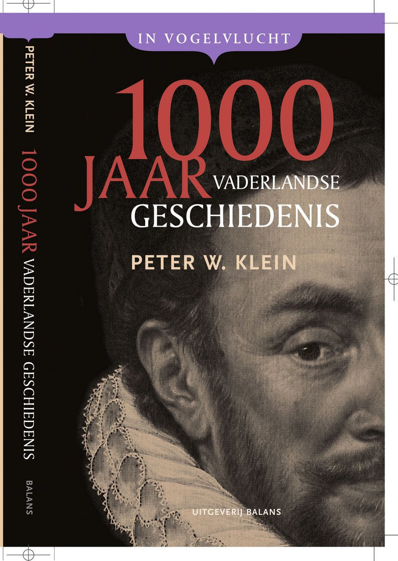 Duizend jaar vaderlandse geschiedenis: in vogelvlucht book